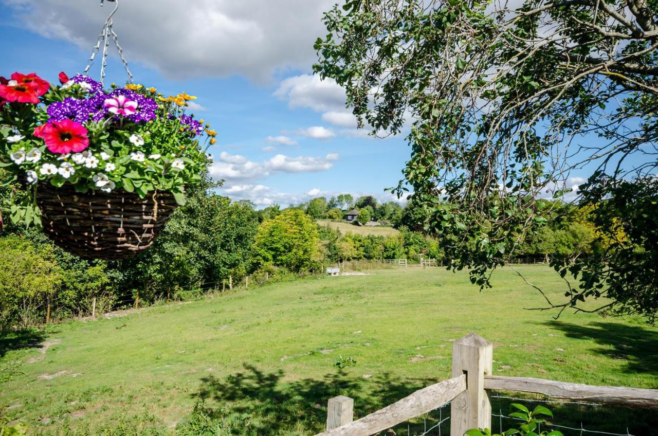 Lavender Lodge Arundel Extérieur photo